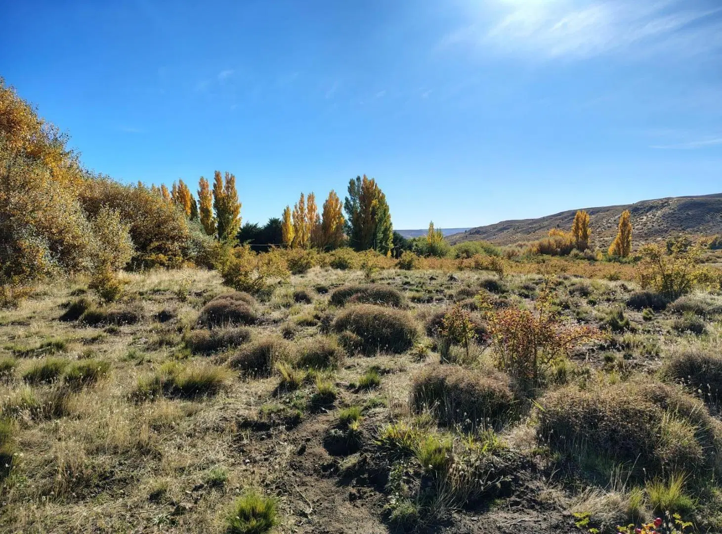 Terreno en venta San Martín de los Andes Paraje Chapelco Grande 2