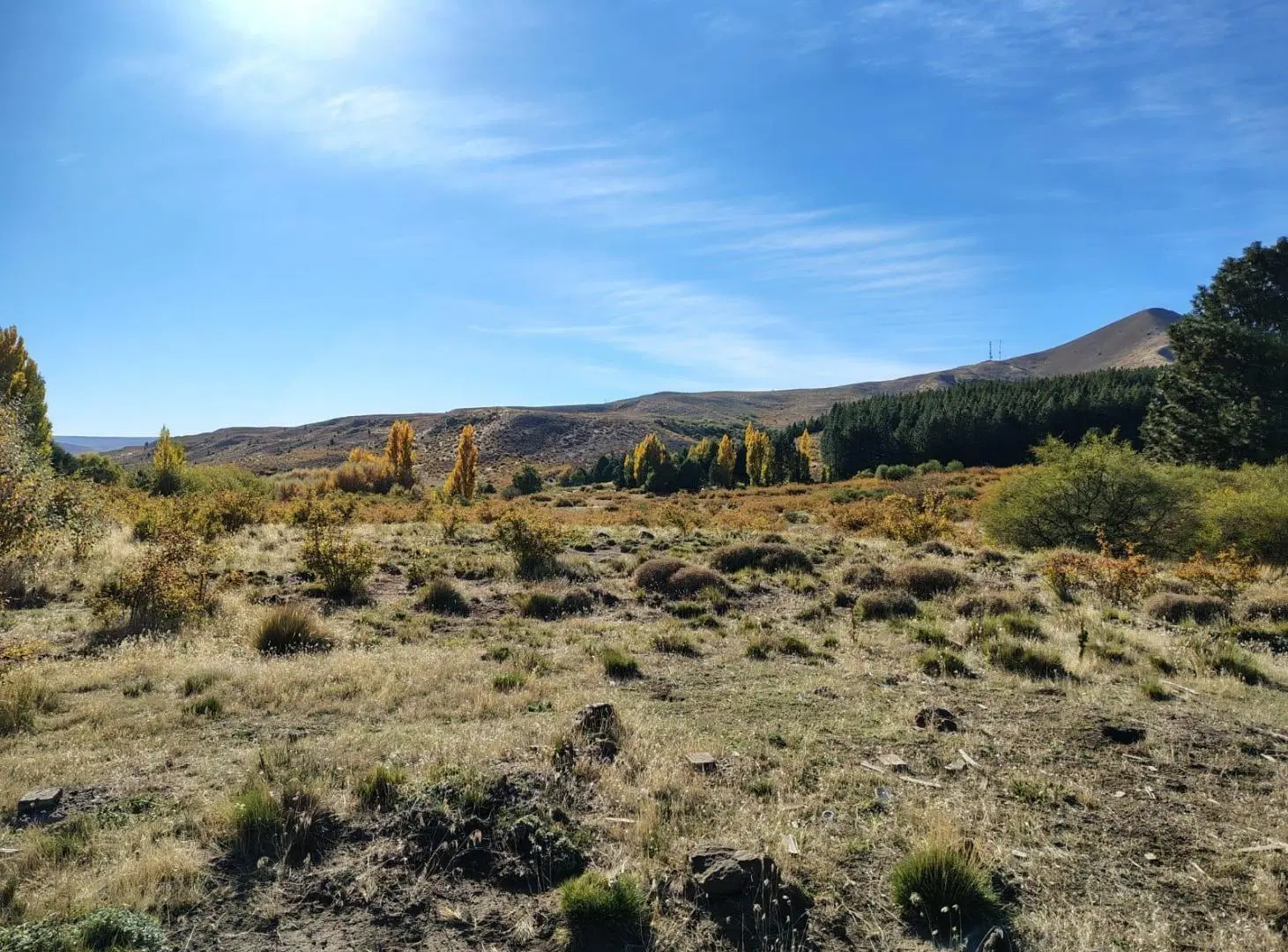 Terreno en venta San Martín de los Andes Paraje Chapelco Grande 4