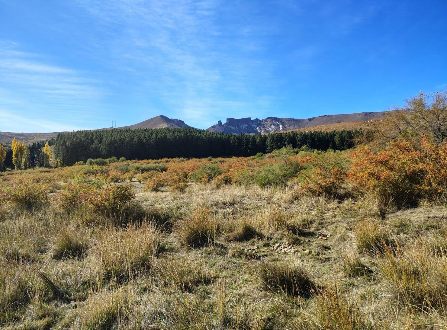 Terreno en venta San Martín de los Andes Paraje Chapelco Grande