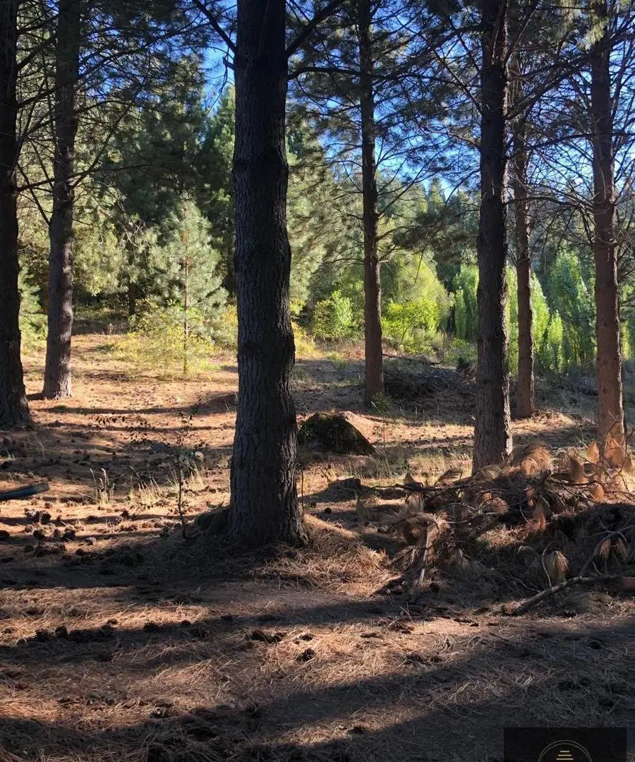 Lote en venta en La Jauria 8