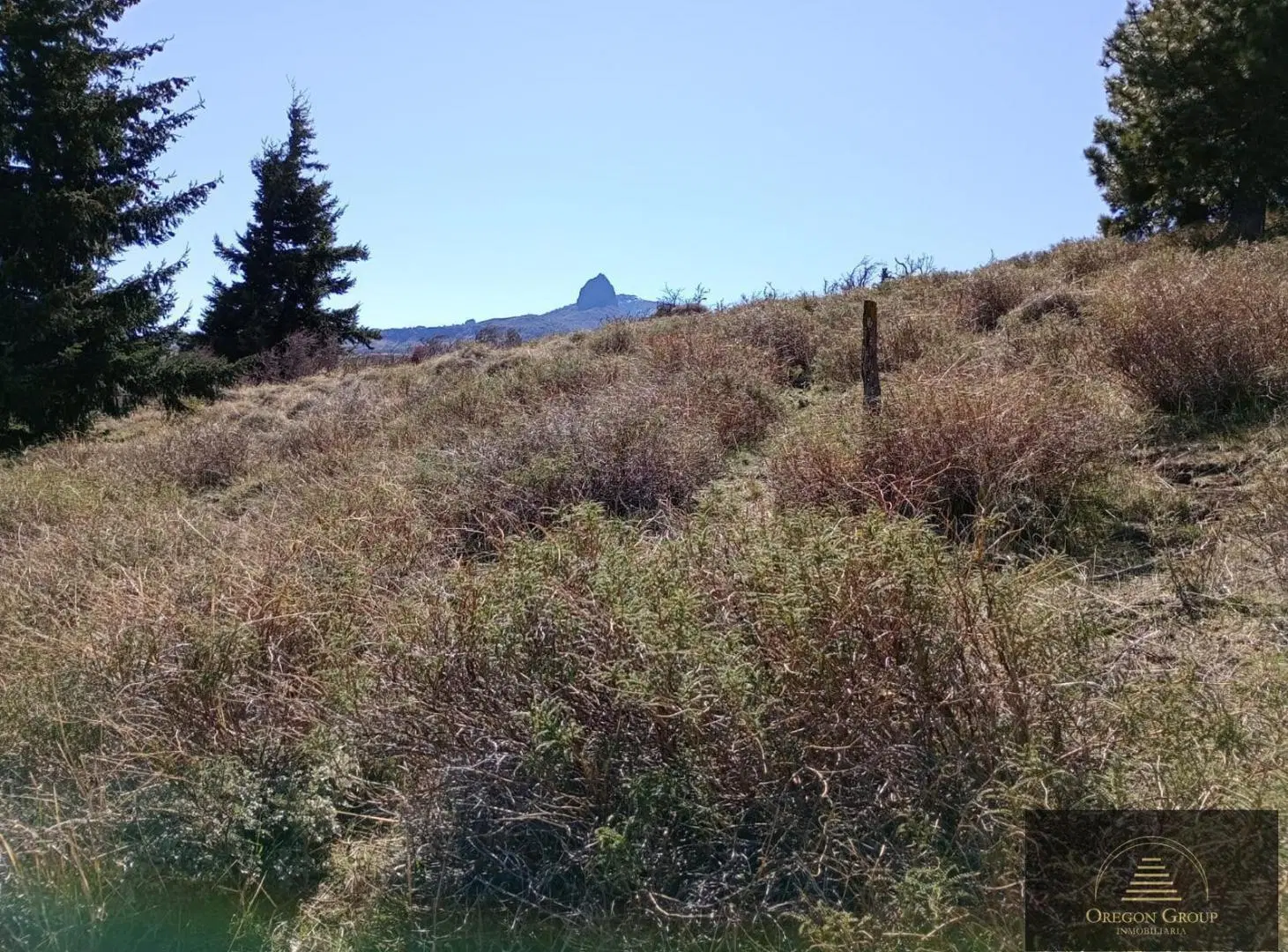 Terreno en Huechulafquen 4