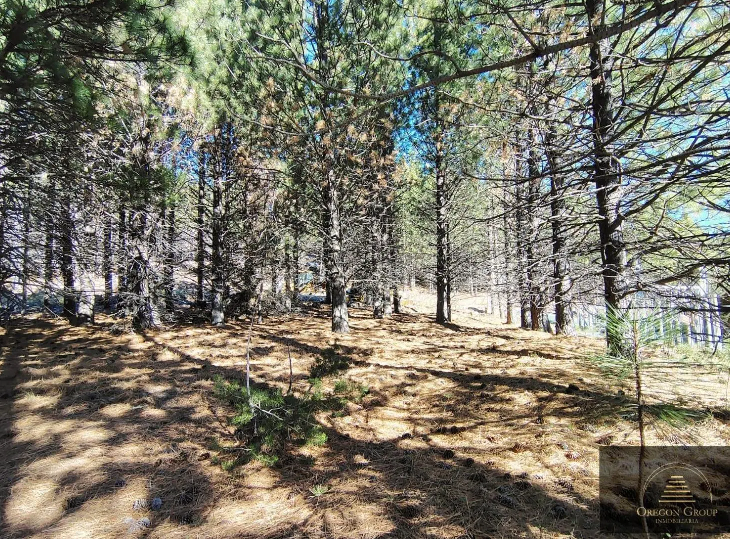 Lote en venta en San Martín de los Andes, El Remanso 8