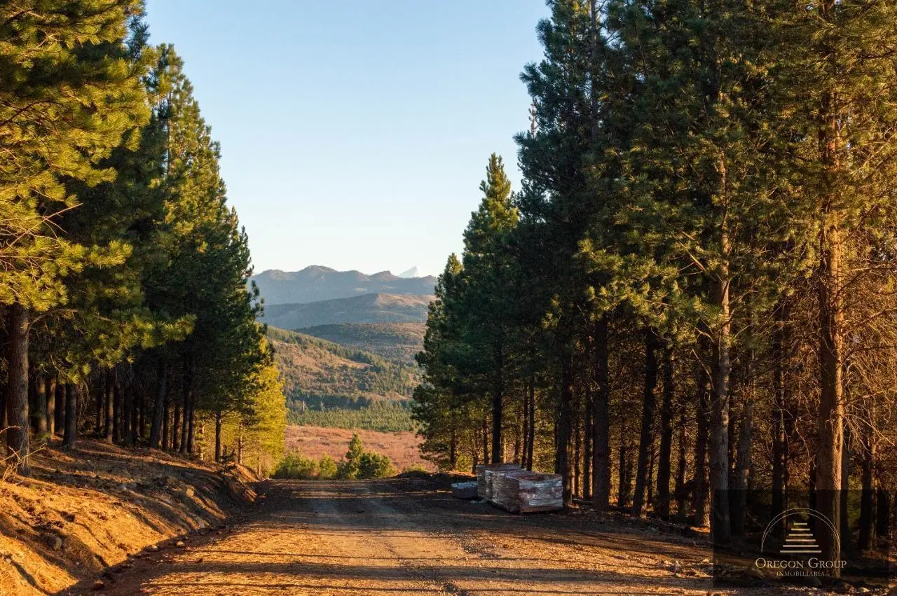 Lote en venta en San Martín de los Andes, El Remanso 1