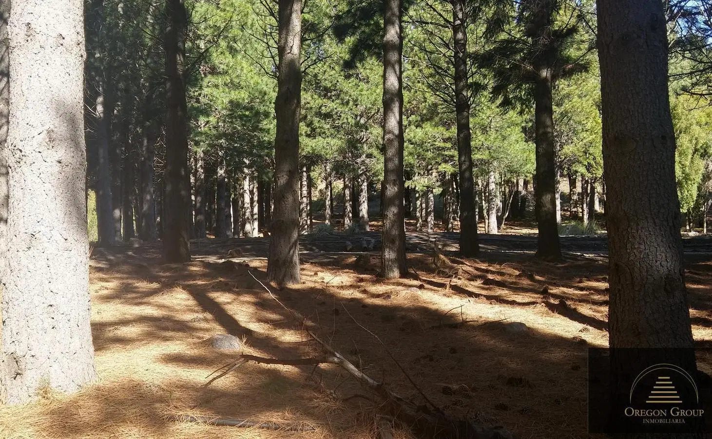 Terreno en San Martin De Los Andes, Barrio La Jauría 8