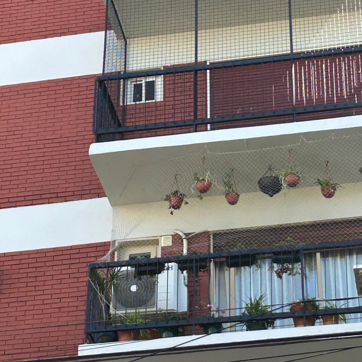 Dueño Vende 3