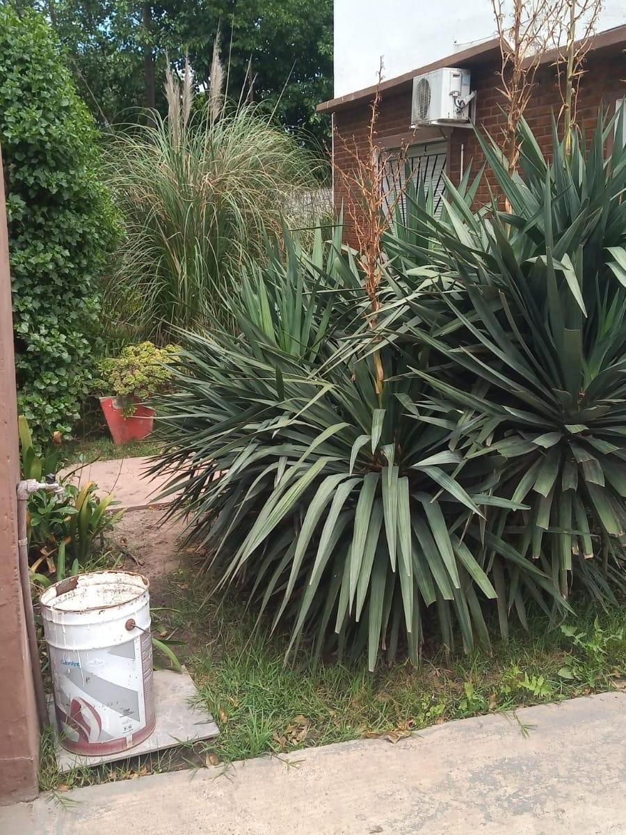 Importante Propiedad, Casa con Quinto y Pileta en Zona Urbana 3