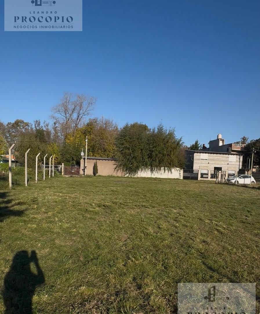 Foto de Lote en venta - juntos o separados en Gral. Rodríguez, imagen 4
