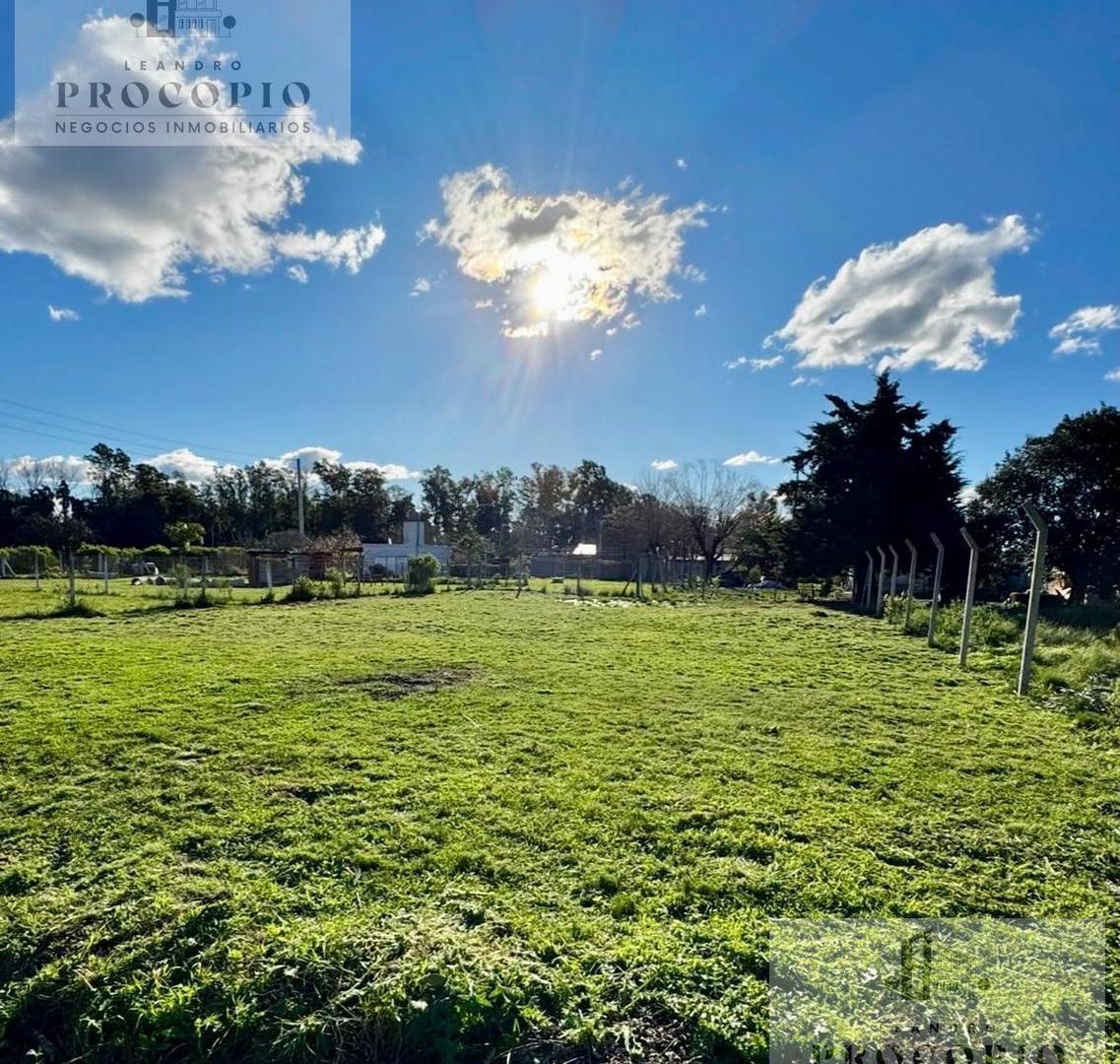 Foto de Lote en venta - juntos o separados en Gral. Rodríguez, imagen 5