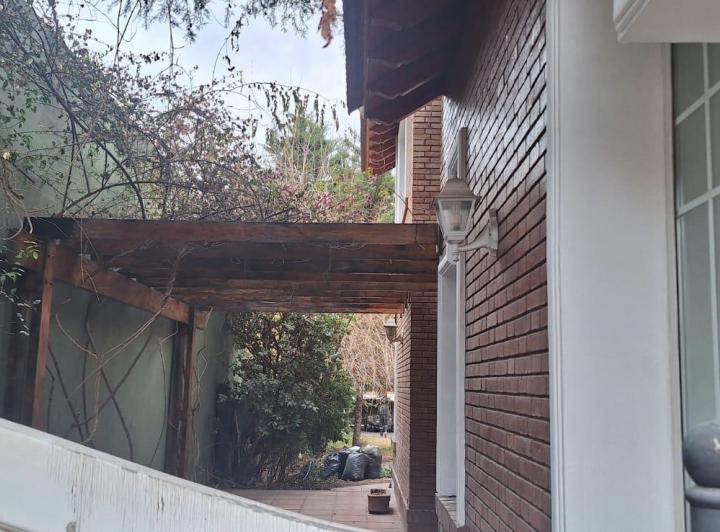 ALQUILER PALMARES 5