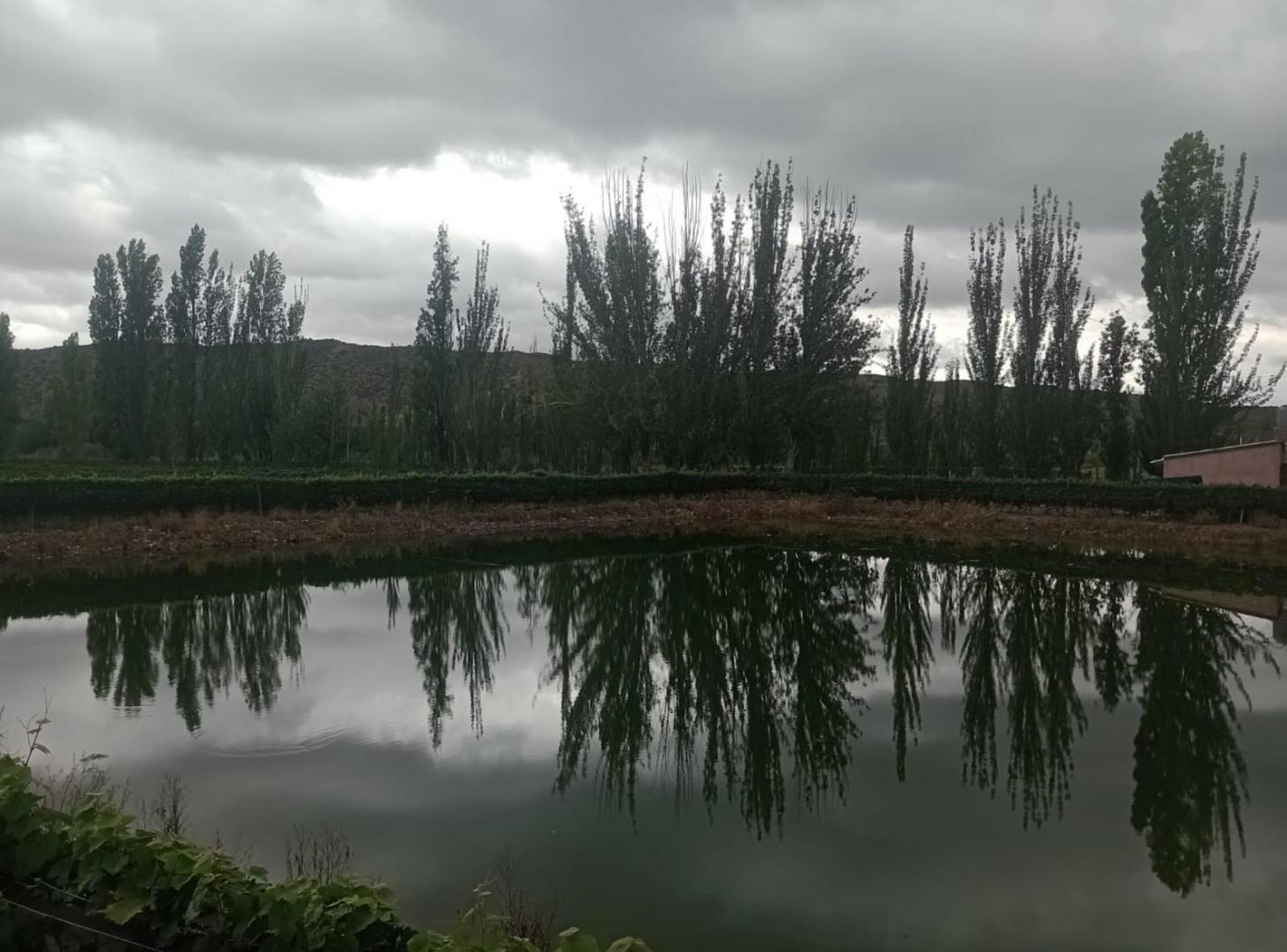 Finca en Perdriel