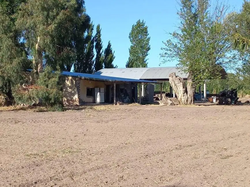 Finca de Ciruelas, General Alvear, Mendoza. 2