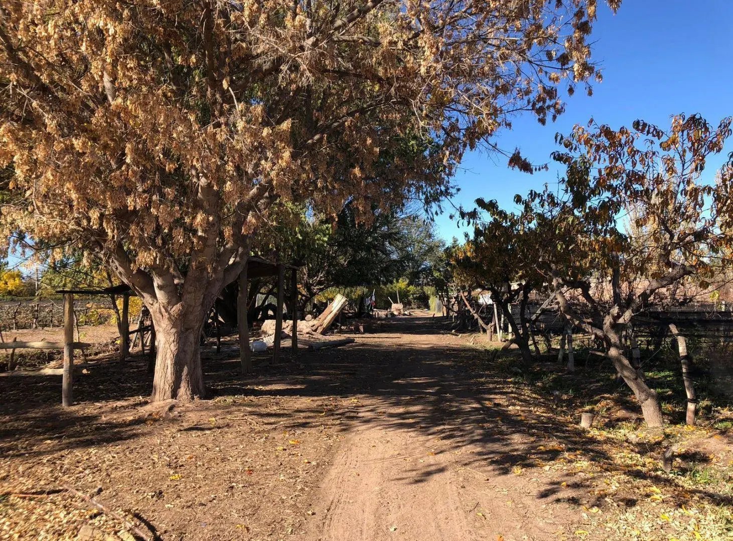 Finca en Agrelo 3