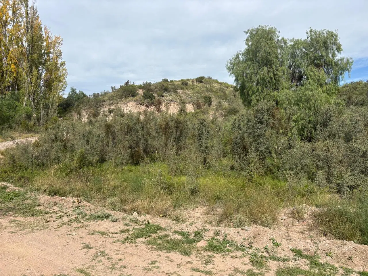 Terreno en Lujan De Cuyo 4
