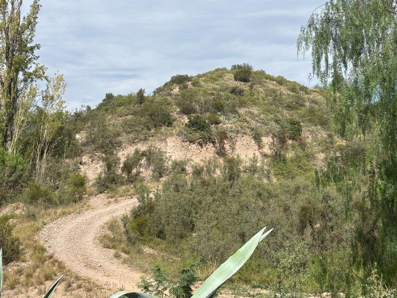 Terreno en Lujan De Cuyo