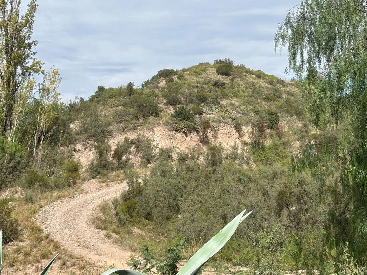 Terreno en Lujan De Cuyo 3
