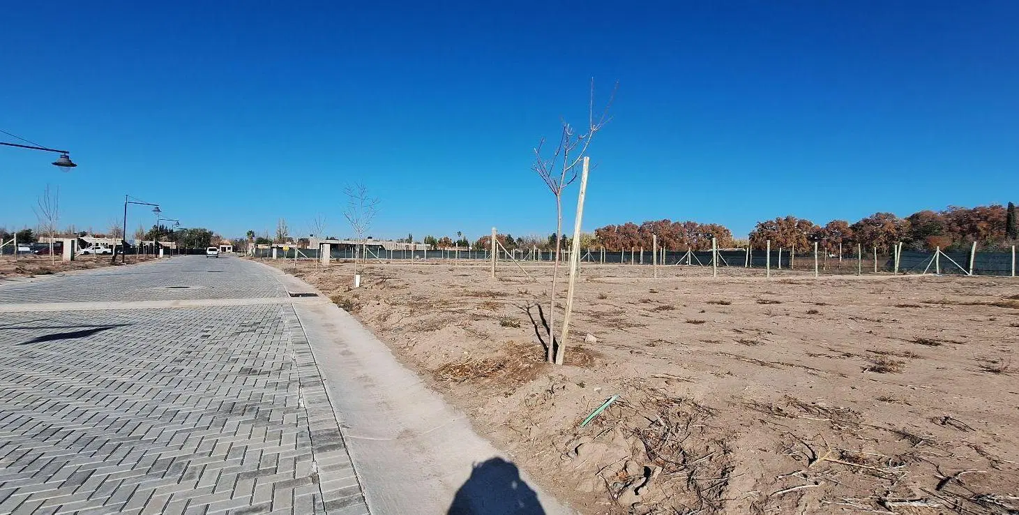 LOTE RINCON DE CORIA 4