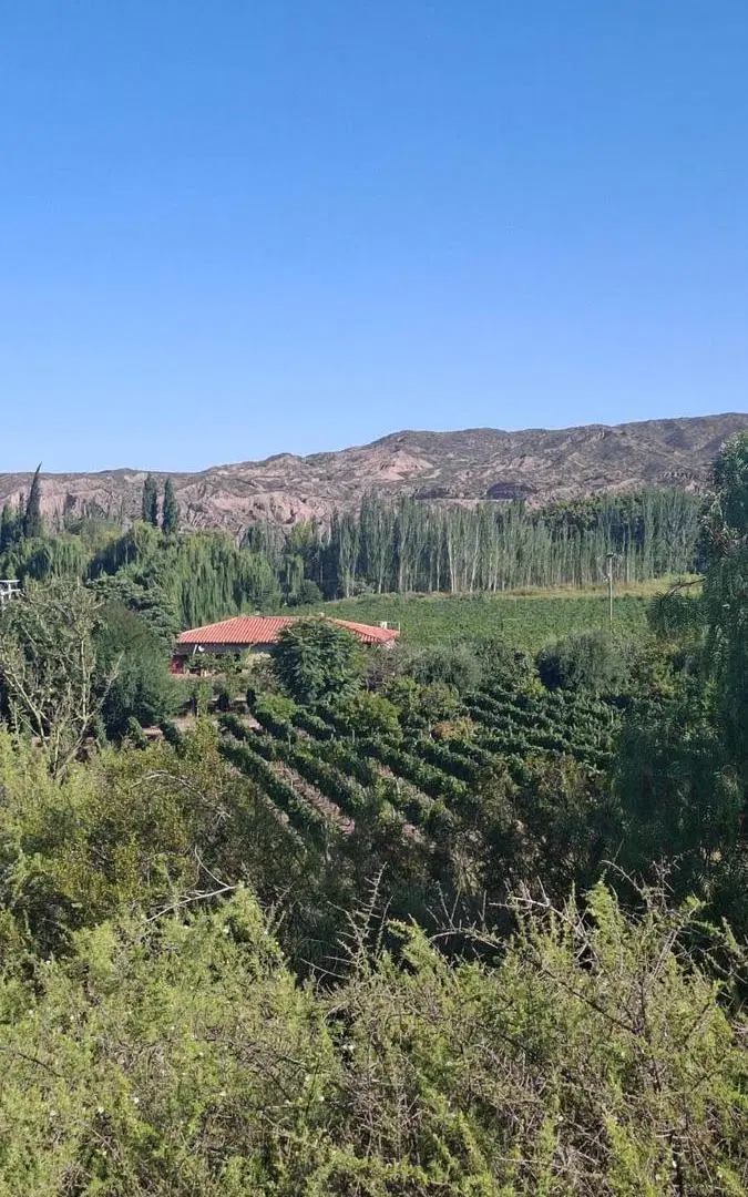 Terreno en Lunlunta 3