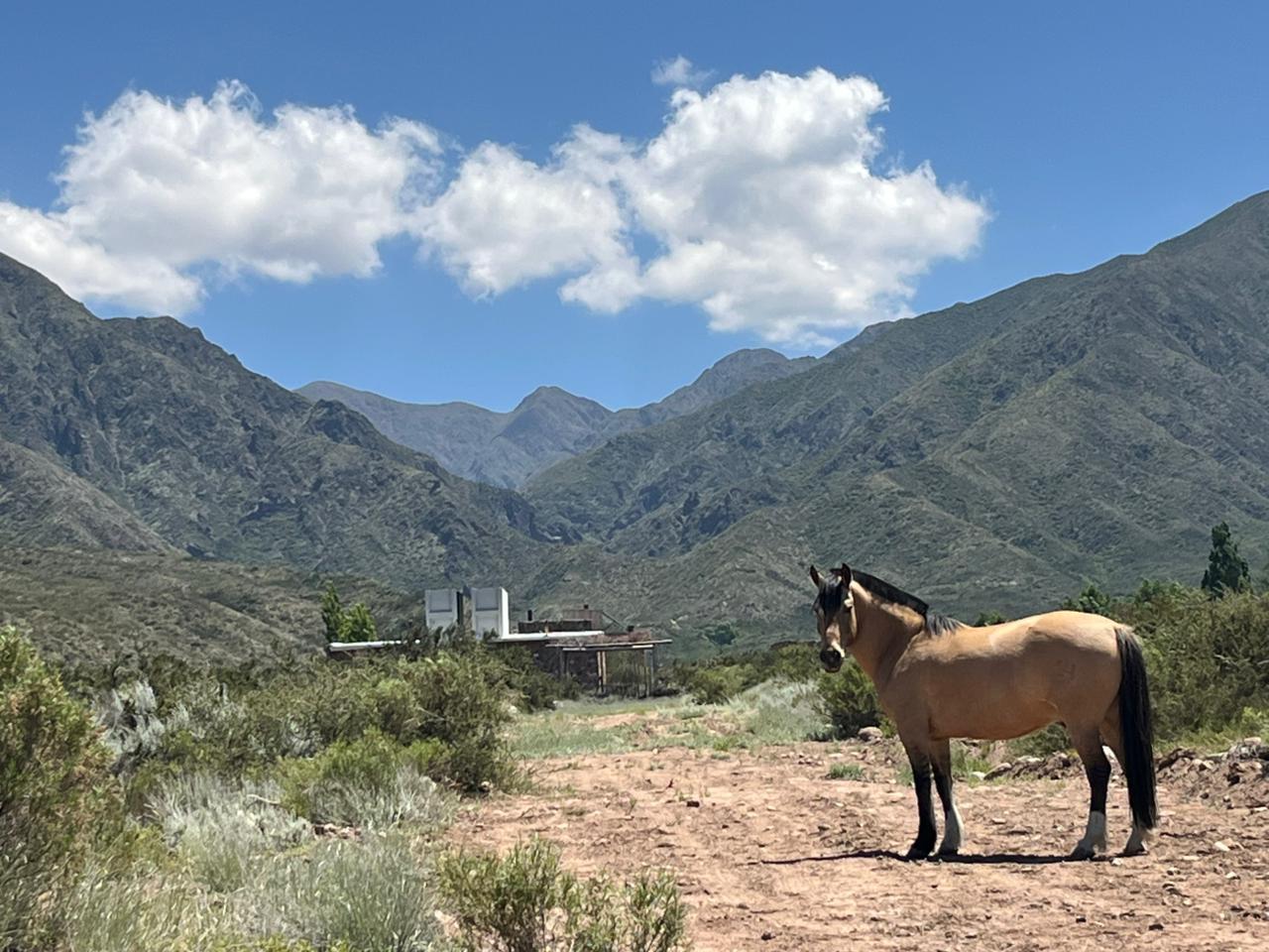 Foto de Terrenos en la Crucesita, imagen 2