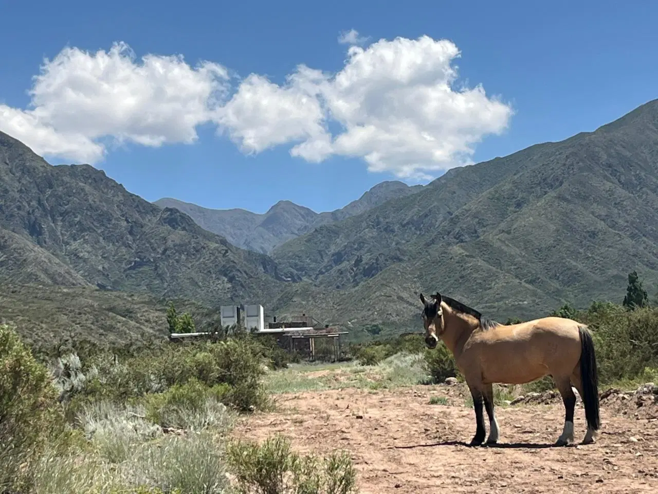 Terrenos en la Crucesita 1