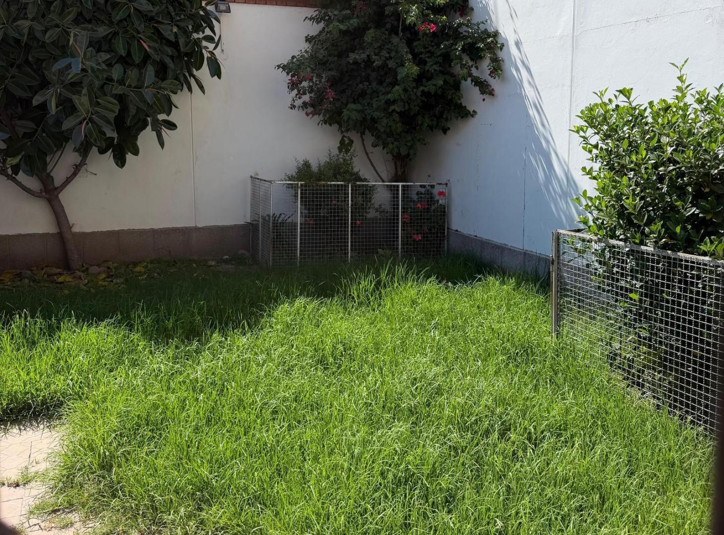 Foto de Casa en Mendoza, imagen 5