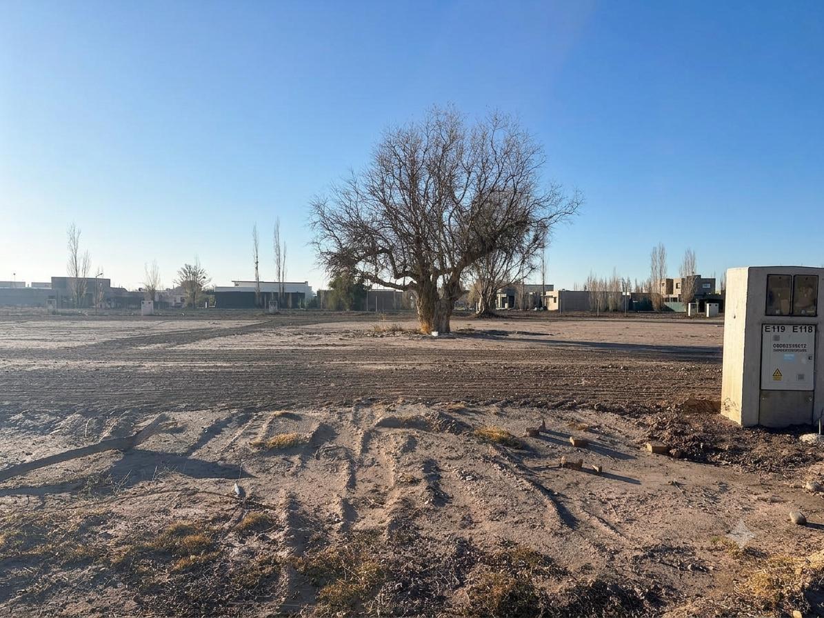 Foto de VENTA TERRENO ACACIAS DE MALABIA, imagen 4