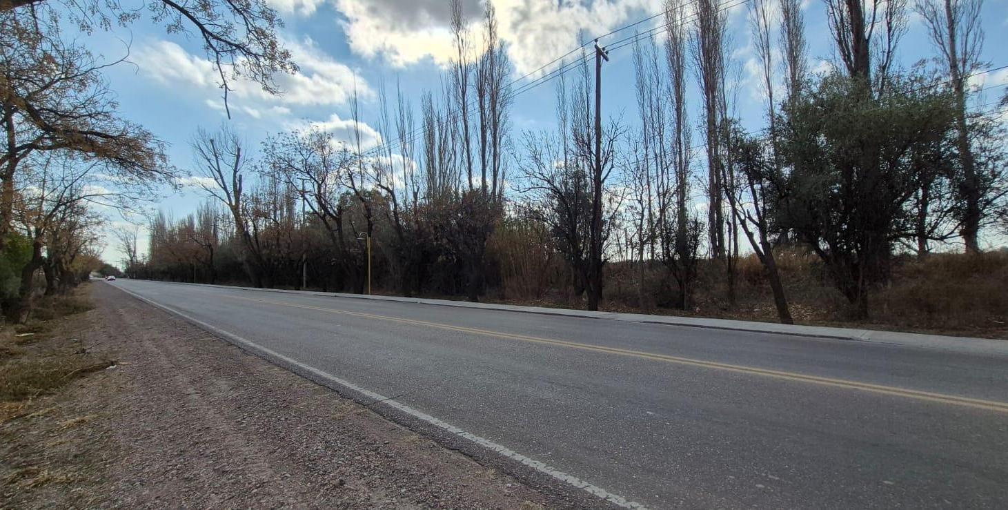 Foto de Lotes 1 Ha Finca Junin, imagen 5