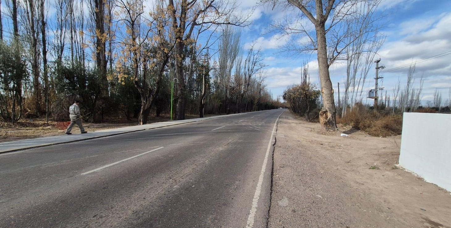 Foto de Lotes 1 Ha Finca Junin, imagen 3