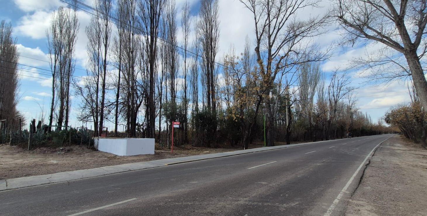 Foto de Lotes 1 Ha Finca Junin, imagen 1