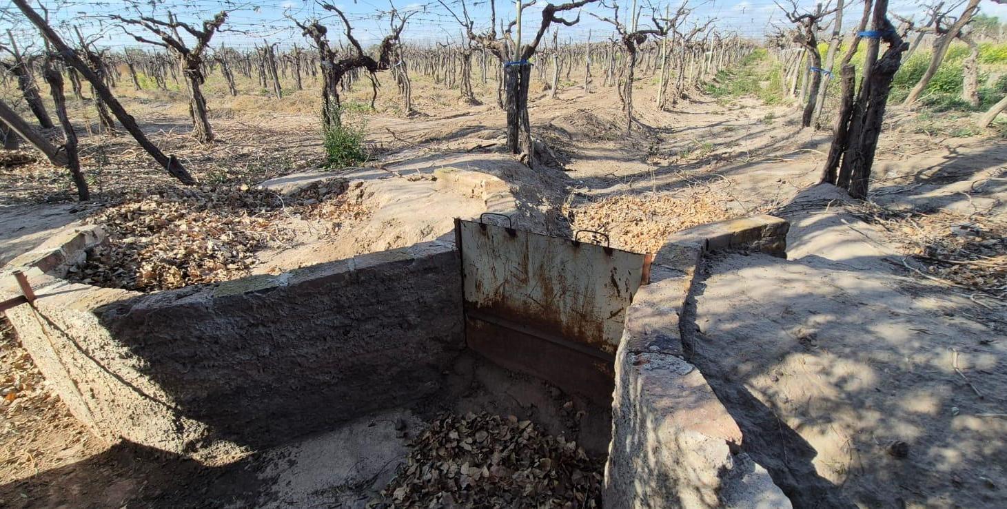 Foto de Lotes 1 Ha Finca Junin, imagen 4