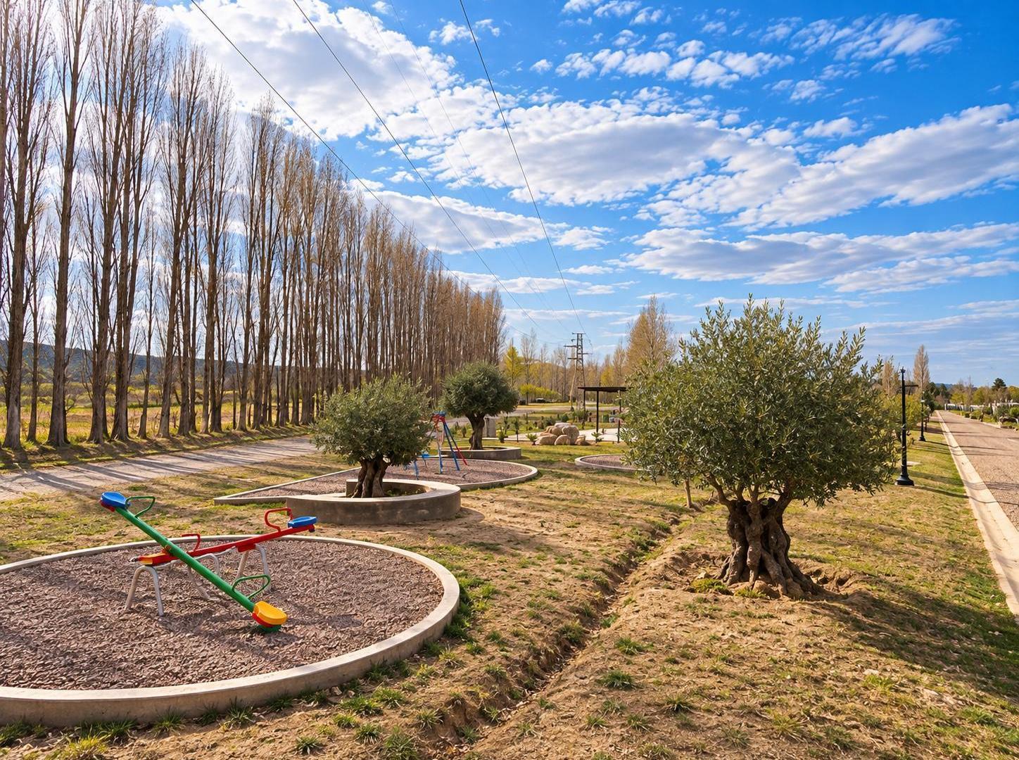 Foto de Terreno Barrio Privado Entrevides - Tupungato, imagen 5