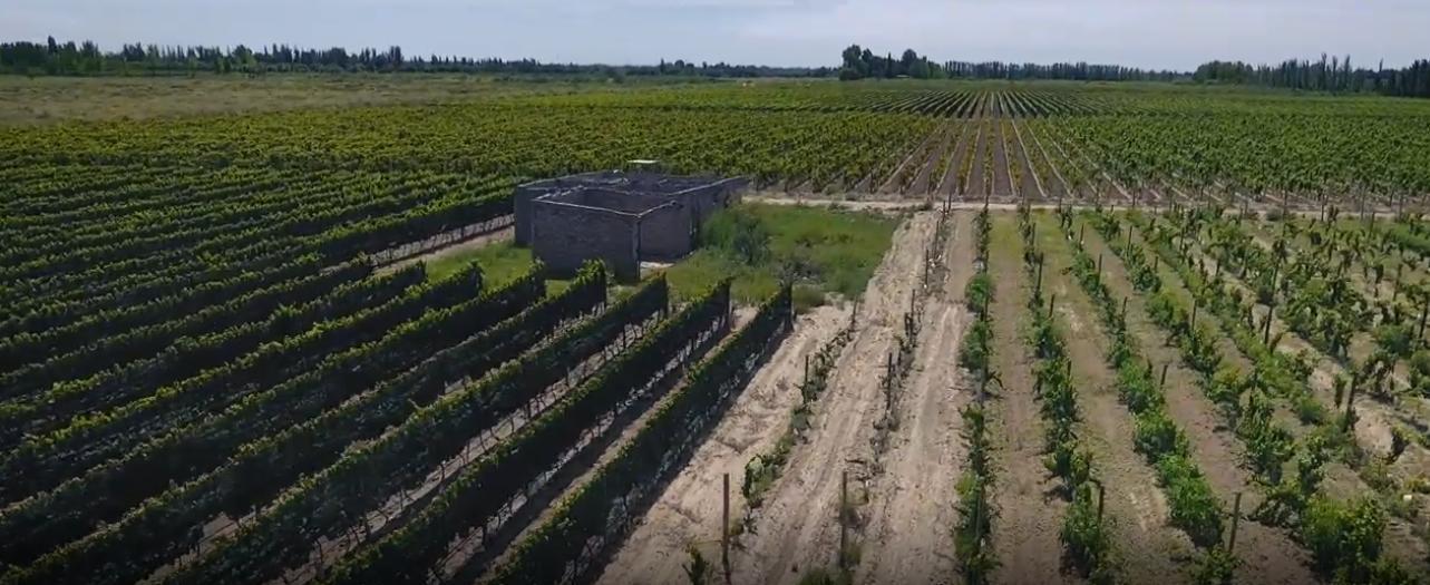 Foto de Finca en Junín, imagen 3
