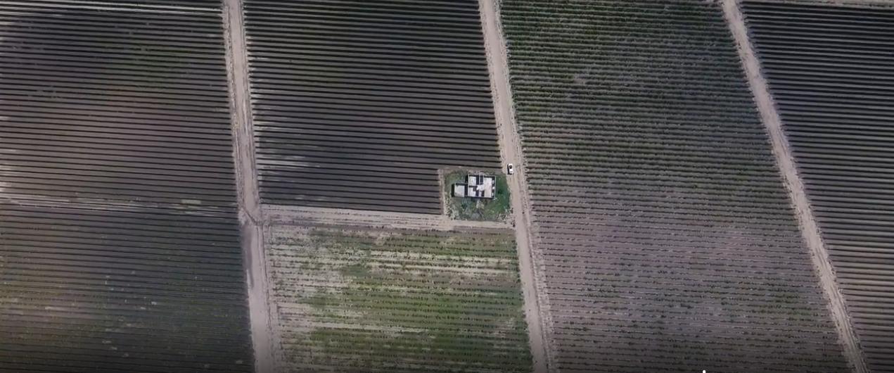 Foto de Finca en Junín, imagen 2