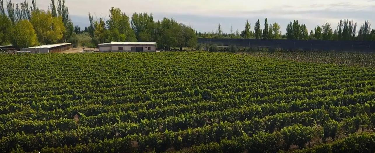 Foto de Finca en Junín, imagen 1
