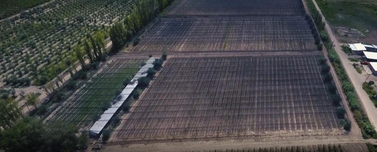 Foto de Finca en Junín, imagen 4
