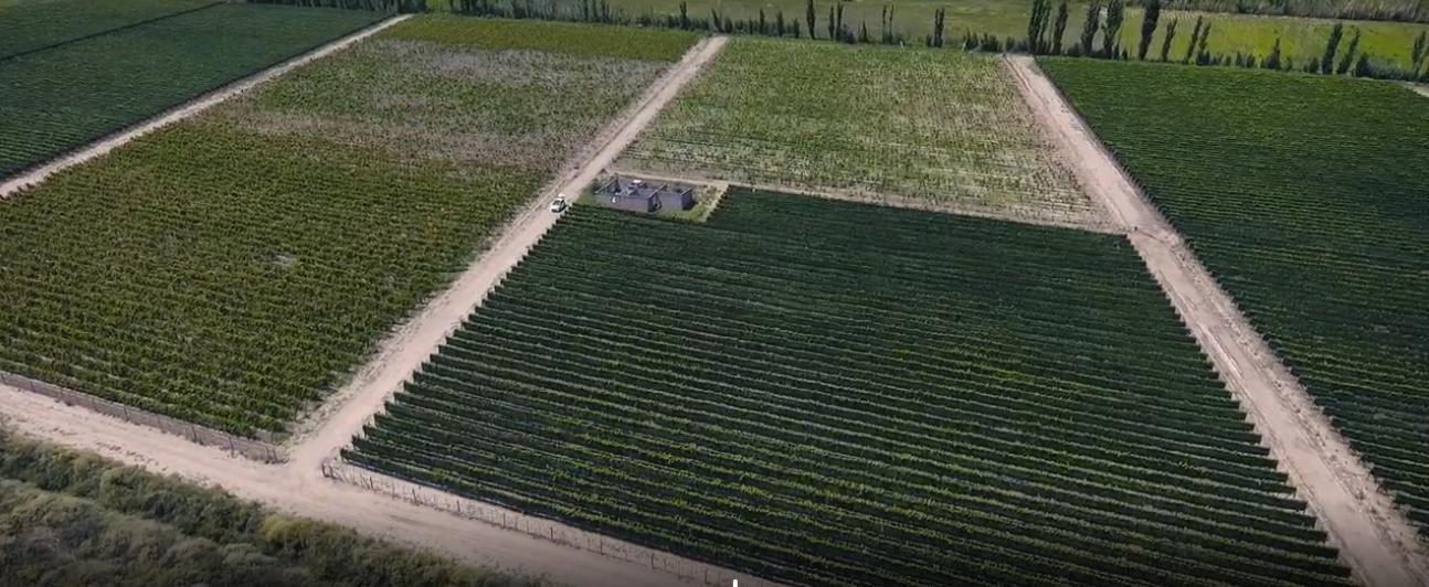 Foto de Finca en Junín, imagen 5