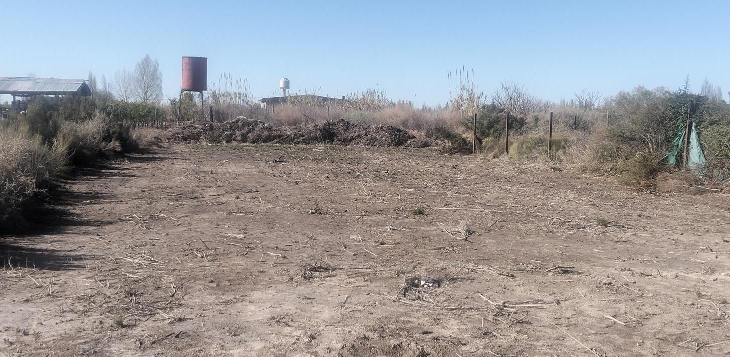 Foto de Terreno en Rodeo Del Medio, imagen 4