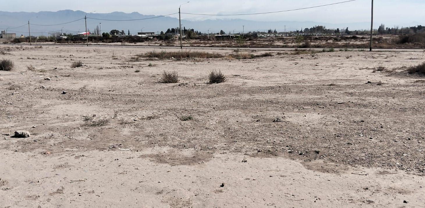 Foto de Terreno en Buena Nueva, imagen 5
