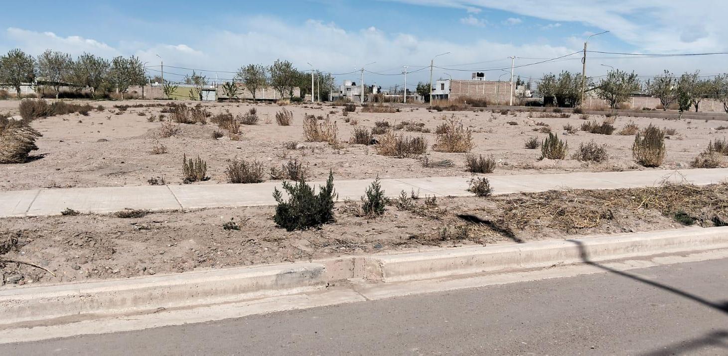 Foto de Terreno en Buena Nueva, imagen 4