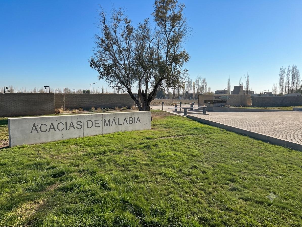 Foto de VENTA TERRENO ACACIAS DE MALABIA, imagen 3
