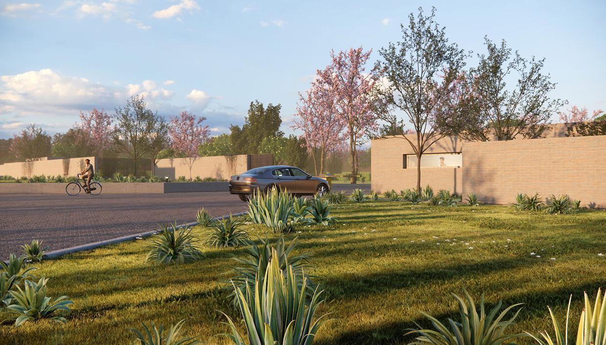 Foto de VENTA TERRENO ACACIAS DE MALABIA, imagen 4