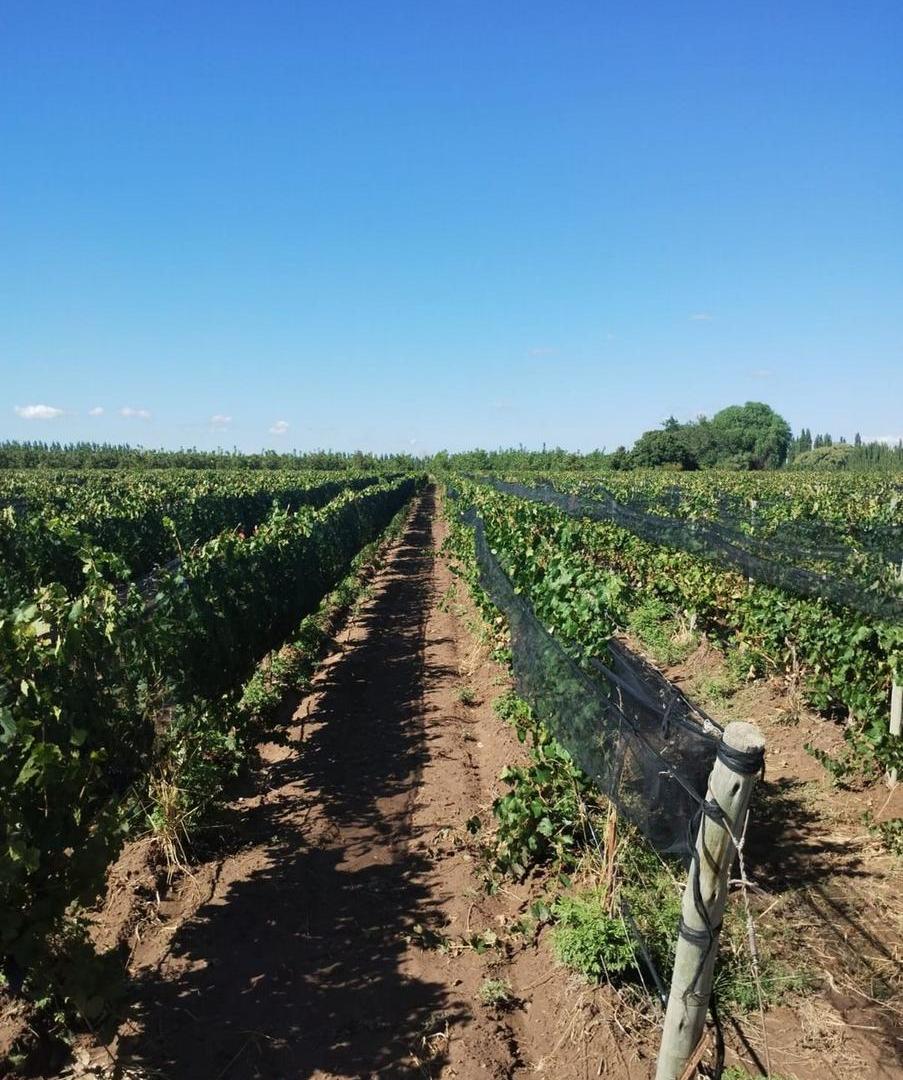 Foto de Finca en venta en Ruta 40, Ugarteche, imagen 1
