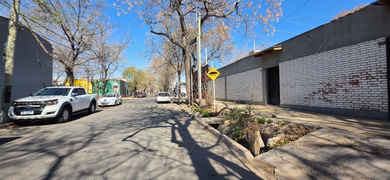 Foto de Terreno en Sexta Seccion, imagen 1