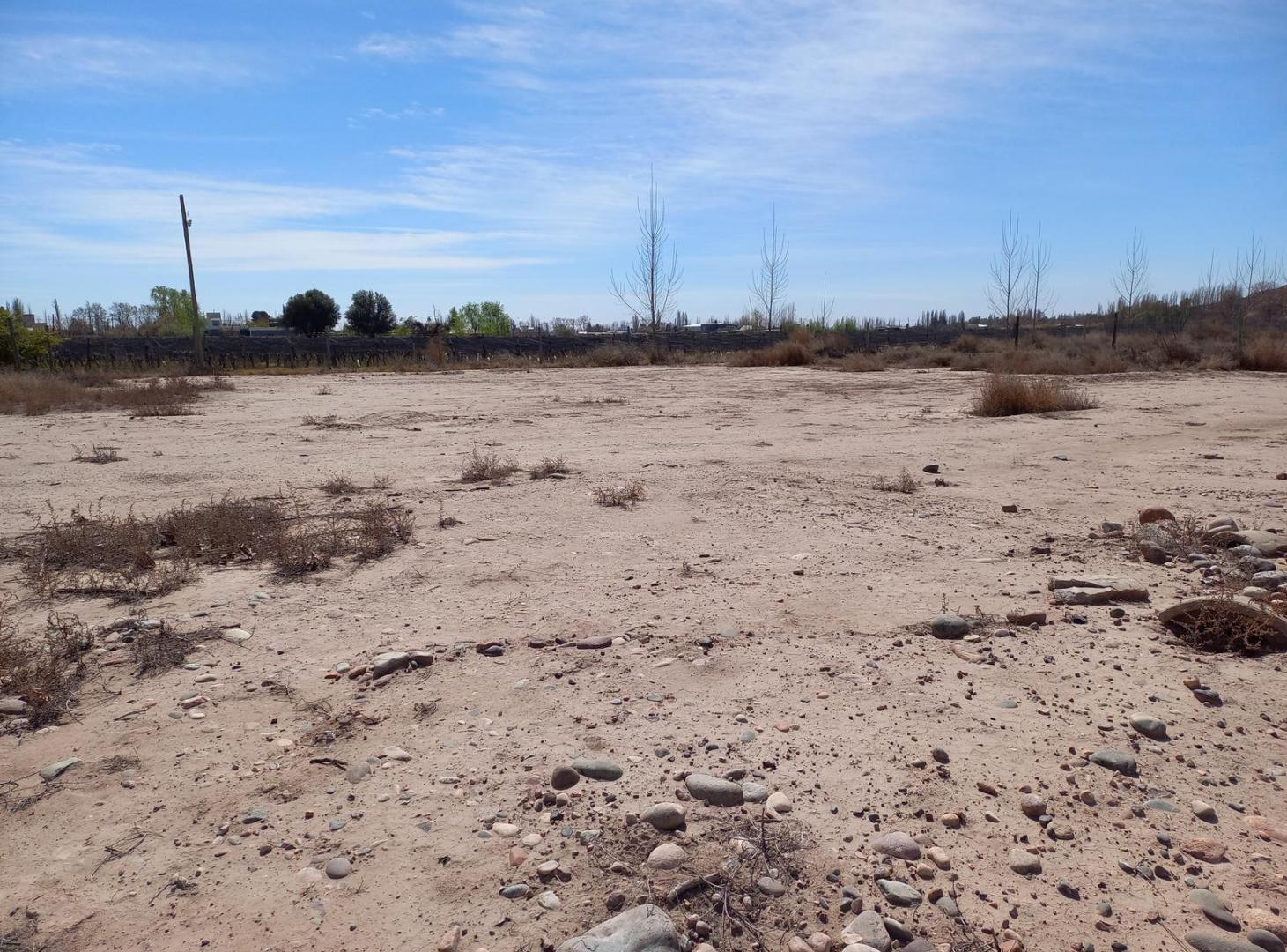 Foto de Terreno en venta en barrio privado La Arboleda, Perdriel, Lujan de Cuyo., imagen 2