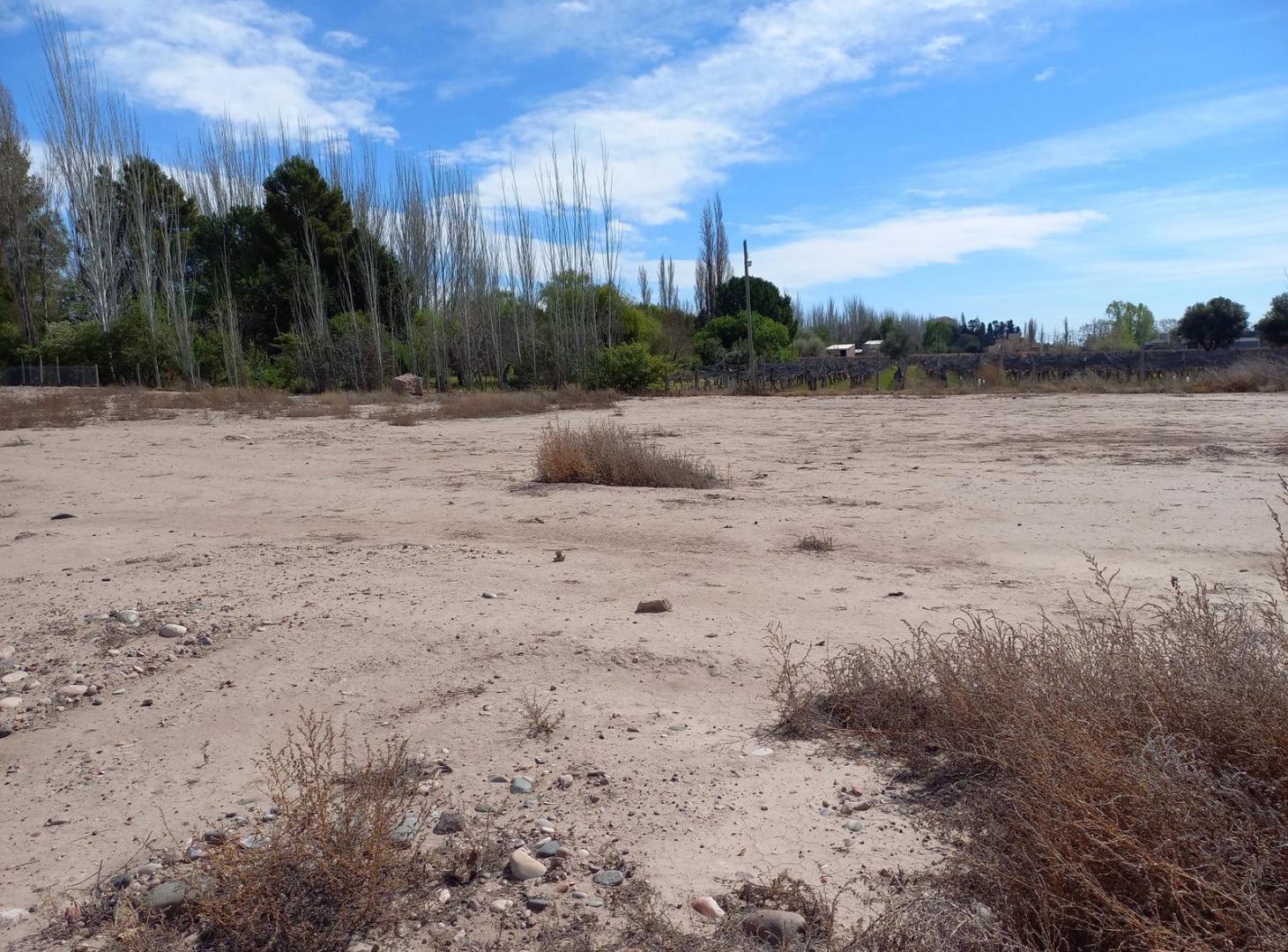 Foto de Terreno en venta en barrio privado La Arboleda, Perdriel, Lujan de Cuyo., imagen 5