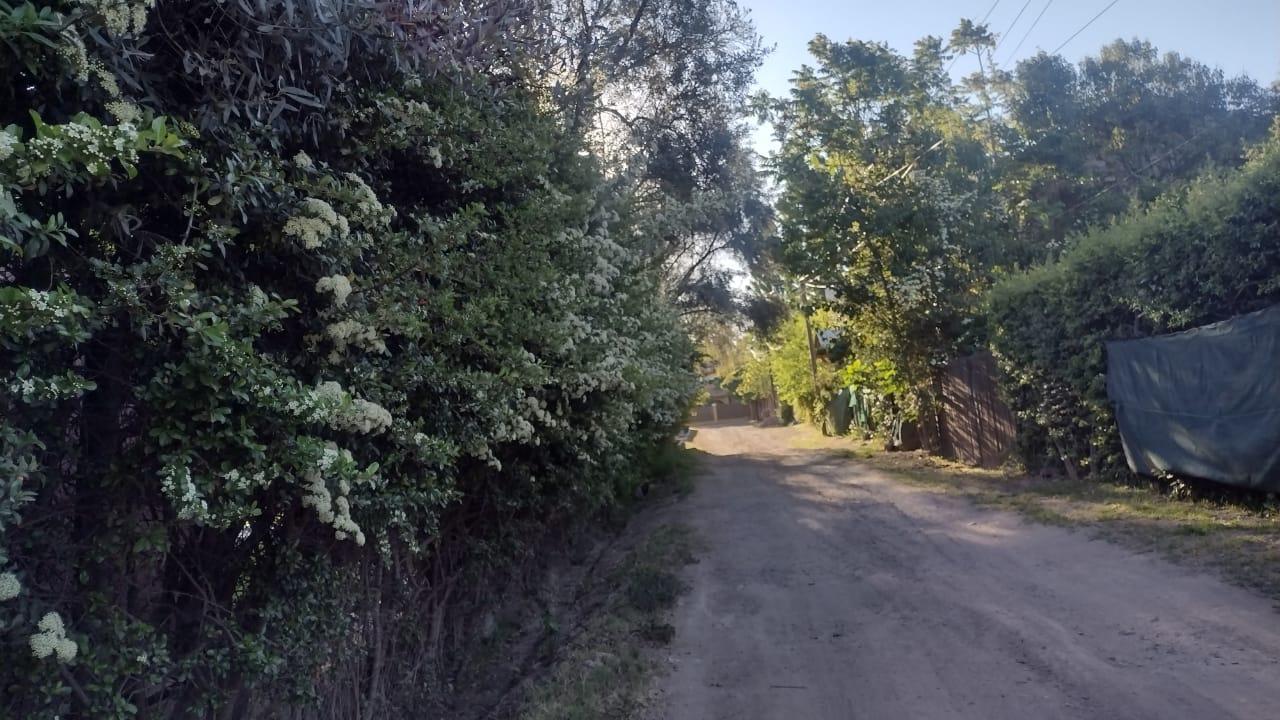 Foto de Casa en Chacras de Coria, imagen 3
