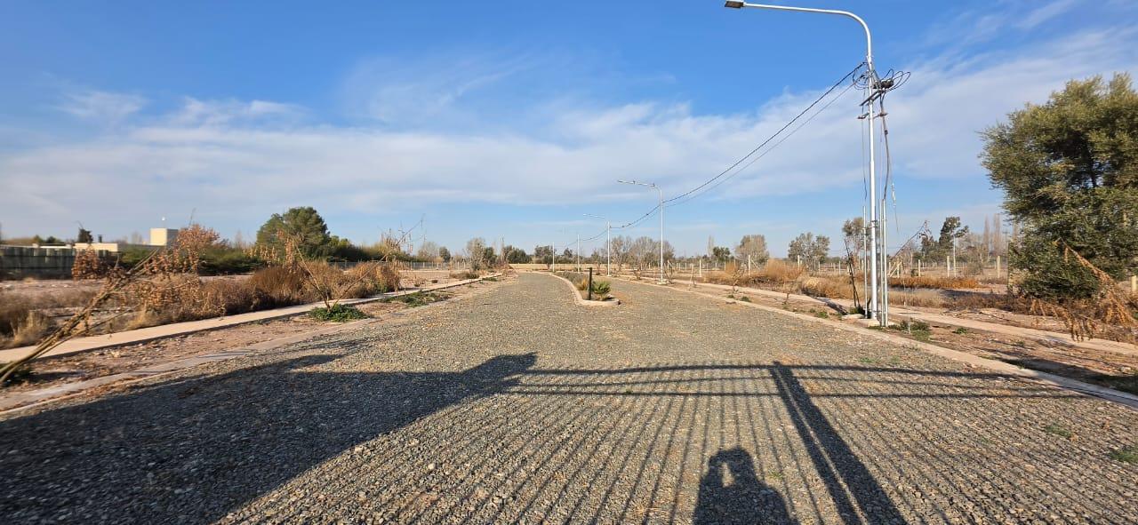 Foto de Terreno en Barrio Qvattro Vistalba, imagen 4