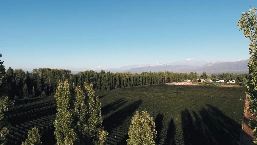 Foto de Terreno Qvuattro del Plata, imagen 2