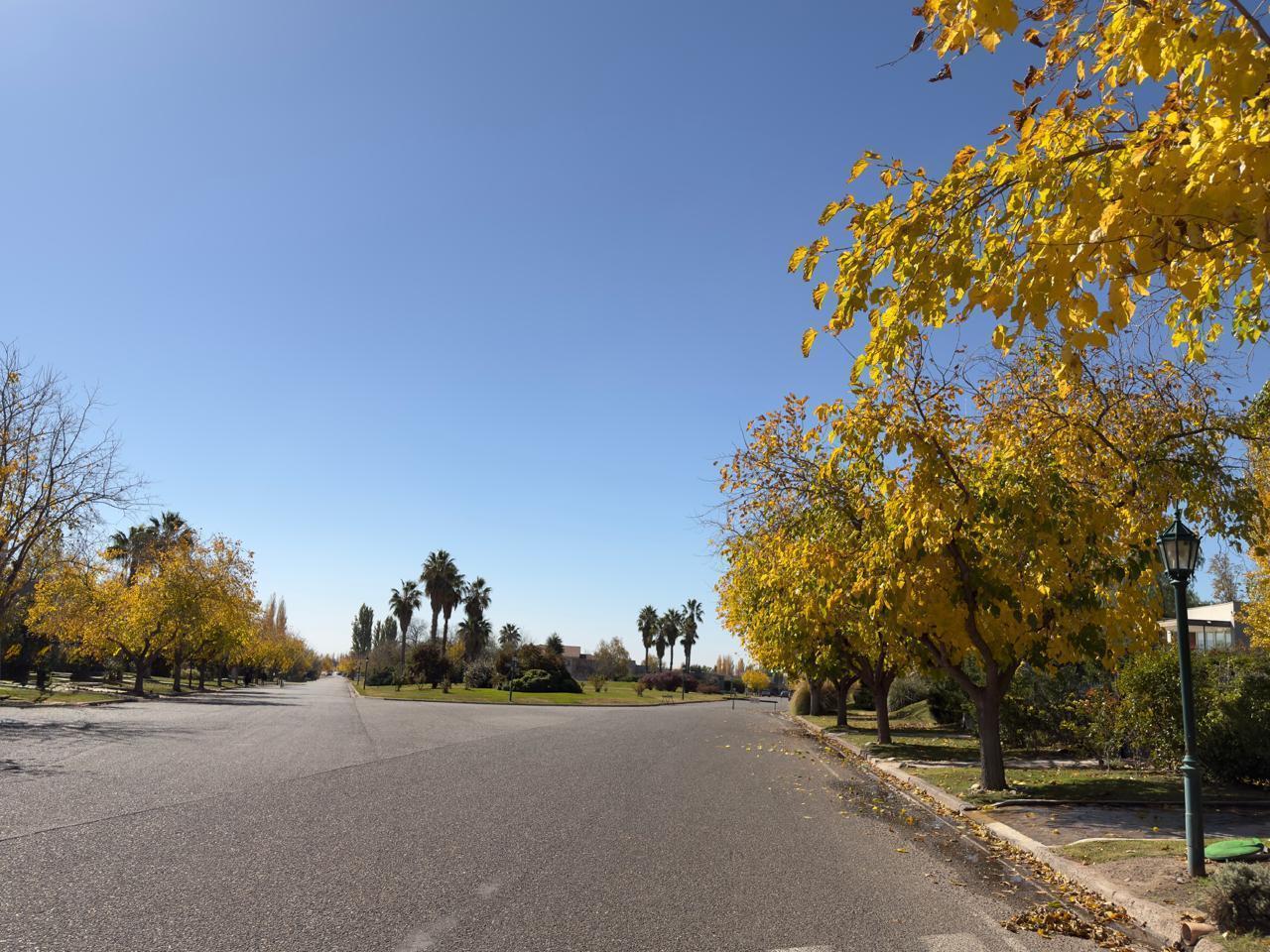 Foto de Terreno en Venta, imagen 5