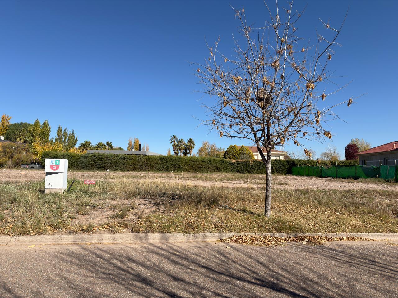 Foto de Terreno en Venta, imagen 4