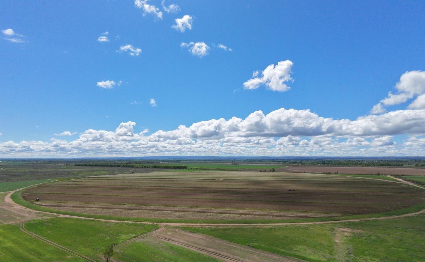 Foto de Finca y SRL San Carlos Valle de Uco, imagen 1